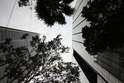 Low angle view of trees and buildings against sky