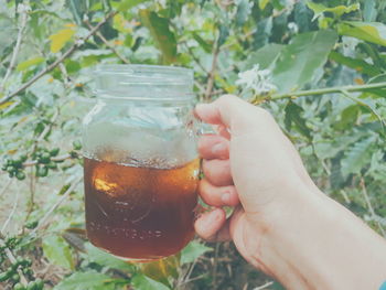 Close-up of hand holding drink