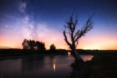 Silhouette trees by lake against sky at night