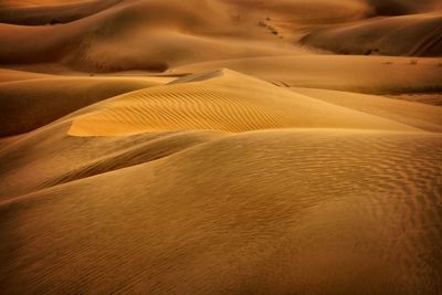 Sand dunes in a desert