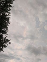 Low angle view of trees against cloudy sky