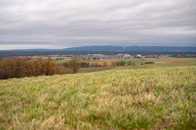 landscape