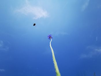 Low angle view of helicopter flying against blue sky