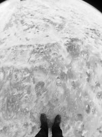 Low section of man standing in sea