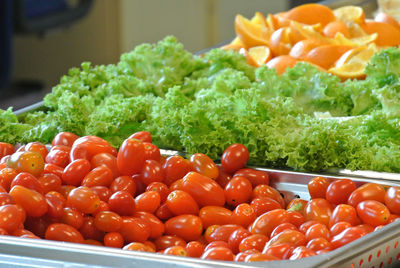 Close-up of tomatoes and lettuce in containers