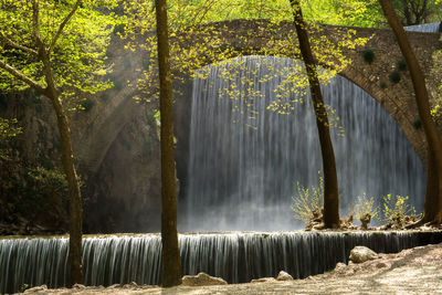 Scenic view of waterfall in forest