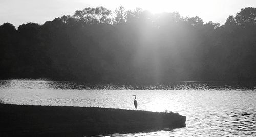 Silhouette person standing by lake against sky