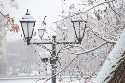 Close-up of street lights in winter