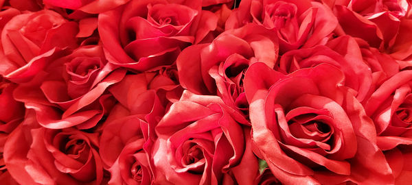 Full frame shot of red roses