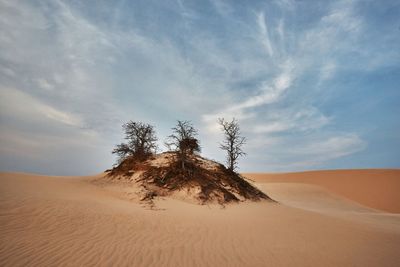 Scenic view of desert against sky