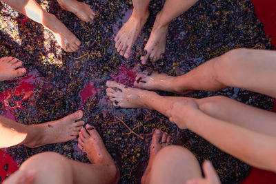 Upper view of children feet crashing grapes in a bowl vendemmia