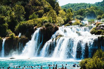 View of waterfall in forest