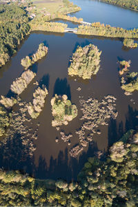 High angle view of trees by lake