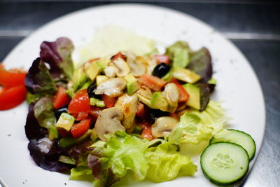 Close-up of meal served in plate