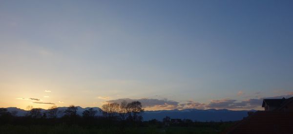 Trees against sky during sunset