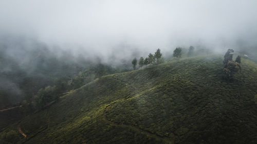 Scenic view of landscape against sky during foggy weather