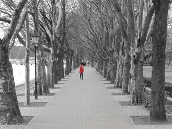 Rear view of woman walking on footpath