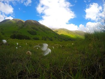 Scenic view of field and mountains against sky