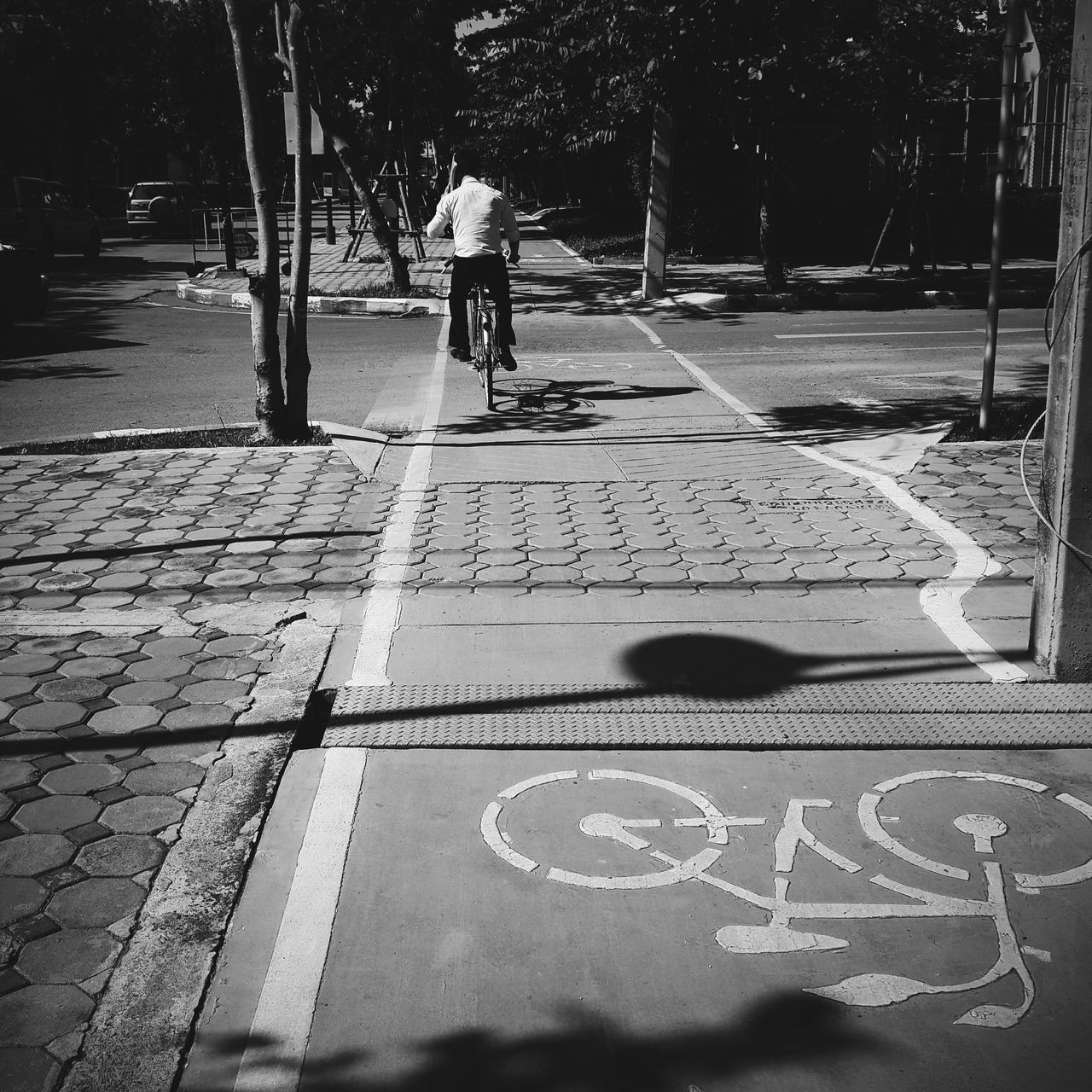 shadow, tree, lifestyles, leisure activity, street, sunlight, men, person, road, walking, outdoors, unrecognizable person, day, park - man made space, footpath, incidental people, bicycle, city life