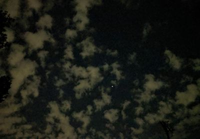 Low angle view of tree against sky at night