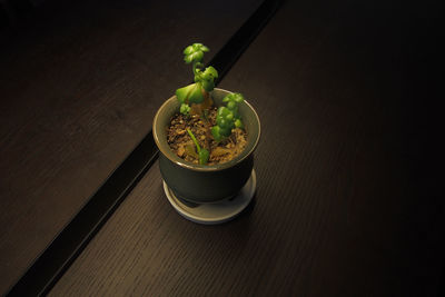 High angle view of salad in bowl on table