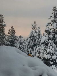 Scenic view of snow covered landscape