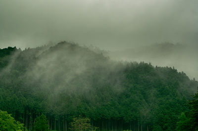 Scenic view of trees on mountain against sky