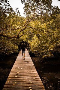 Rear view of man walking on footpath amidst trees