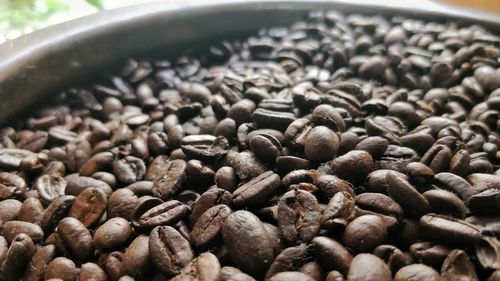 High angle view of coffee beans