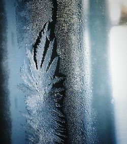 Close-up of water drops on glass