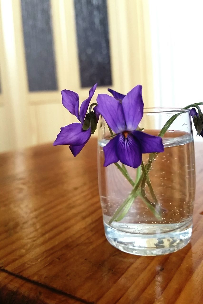 CLOSE-UP OF PURPLE FLOWERS IN GLASS VASE