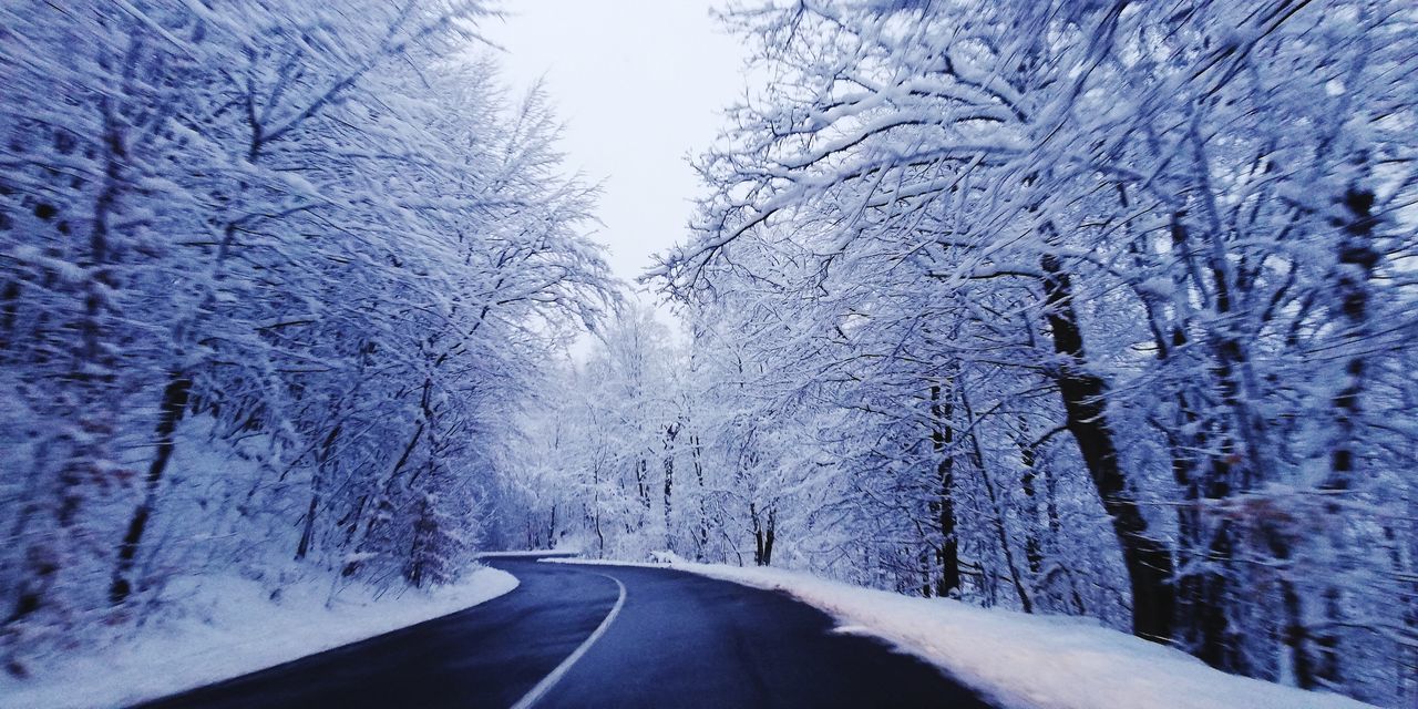 cold temperature, winter, snow, tree, road, transportation, the way forward, plant, nature, freezing, no people, beauty in nature, diminishing perspective, scenics - nature, environment, frost, frozen, tranquility, white, tranquil scene, non-urban scene, land, forest, landscape, day, vanishing point, empty road, country road, sign, outdoors, snowing, bare tree, ice, street, sky, travel, extreme weather, covering, branch