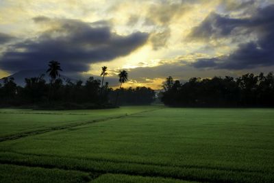 Scenic view of grassy field against cloudy sky