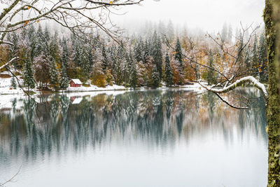 Scenic view of lake in forest during winter