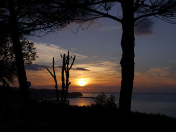 Silhouette trees by sea against sky during sunset