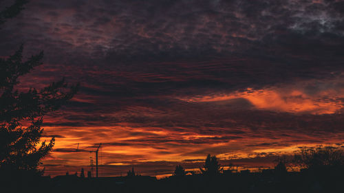 Silhouette trees against dramatic sky at sunset