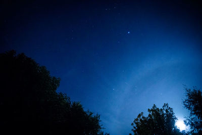 Low angle view of trees against blue sky