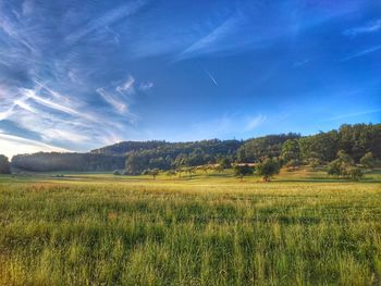 Scenic view of agricultural field against sky
