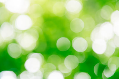 Green bokeh on nature defocus art abstract blur background