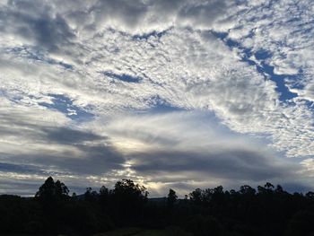 Low angle view of silhouette trees against sky