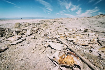 Scenic view of rocks on beach against sky