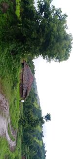 House amidst trees and buildings against sky