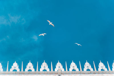 Low angle view of seagulls flying in sky