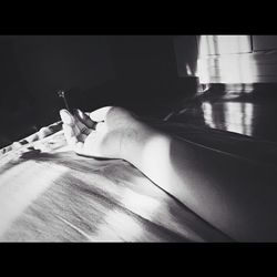 Close-up of cat relaxing on the wall