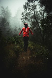 Rear view of man walking in forest