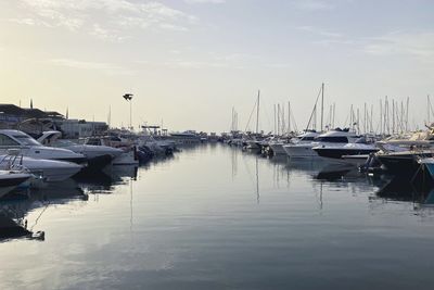 Sailboats moored in harbor