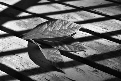 High angle view of leaves on wooden table