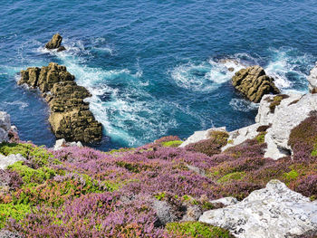 High angle view of sea shore