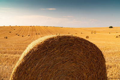 Hay bales on field against sky