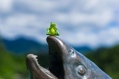 Close-up of frog figurine on statue